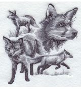Líšky 4