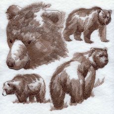 Medvede